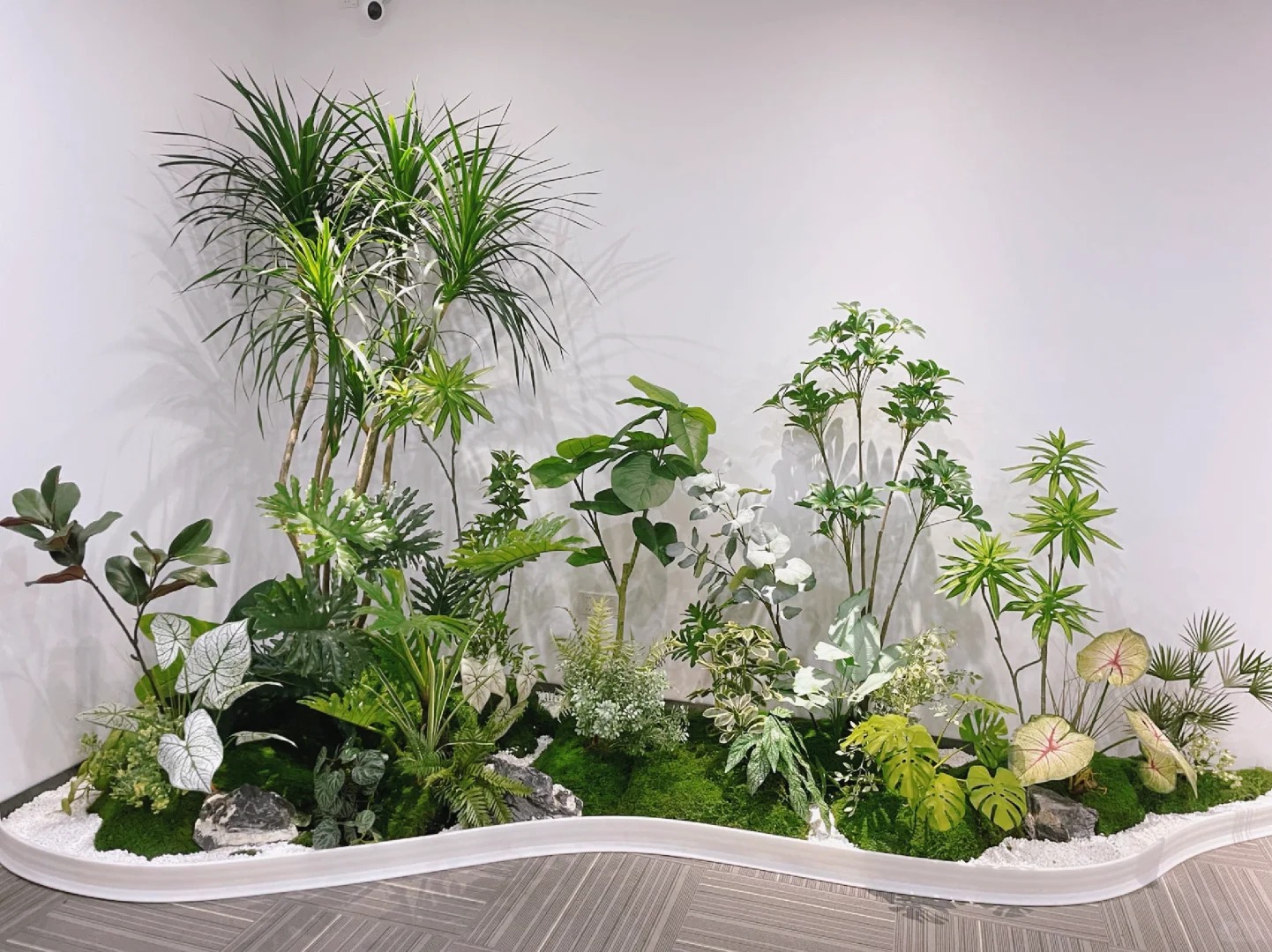 专业慈溪盆景出租,让绿植为环境增添别样风采